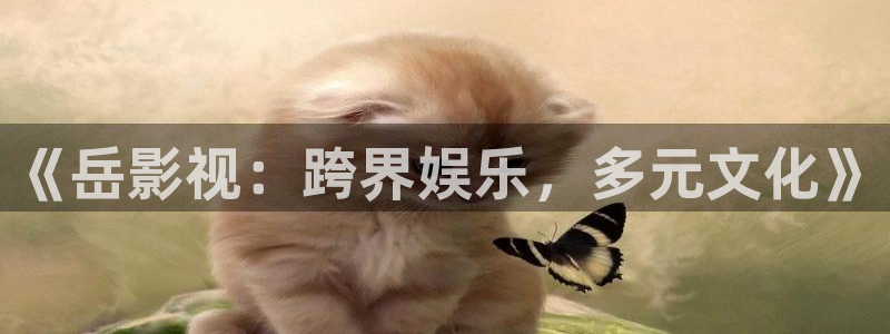 紅桃影視免費在線觀看：《岳影視：跨界娛樂，多元文化》