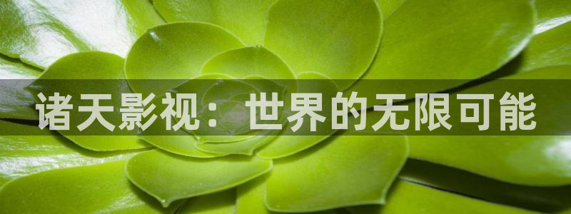 紅桃免費高清電影在線觀看：諸天影視：世界的無限可能